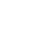 x icon
